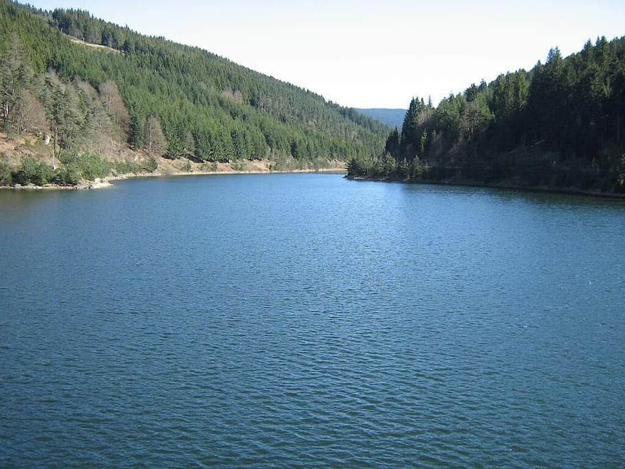 Le Repos Du Pilat Proche A 10 Min Saint Etienne Lägenhet Exteriör bild